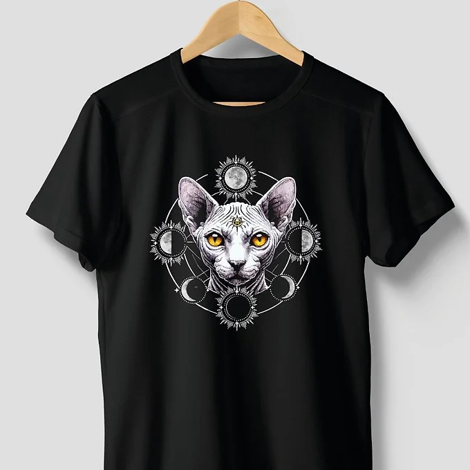 Gato Branco e as Fases da Lua